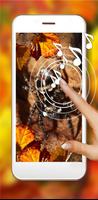 Spiders Tropical اسکرین شاٹ 2