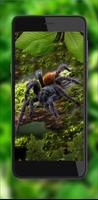 Spiders Tropical اسکرین شاٹ 3