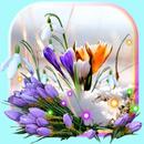 Spring Early Flowers APK
