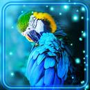 Parrots Bright Tropical APK