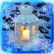 Winter Nice