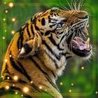 Tiger biểu tượng