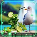Tropic Beach Cocktail APK