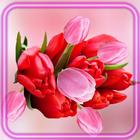 Tulips Pink n Red アイコン