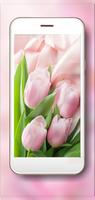 Tulips Pink n Red スクリーンショット 2