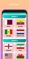 FIFA World Cup Qatar 2022 screenshot 3