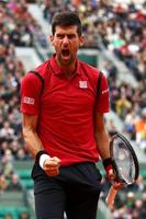 Novak Djokovic Fond d'écran capture d'écran 1