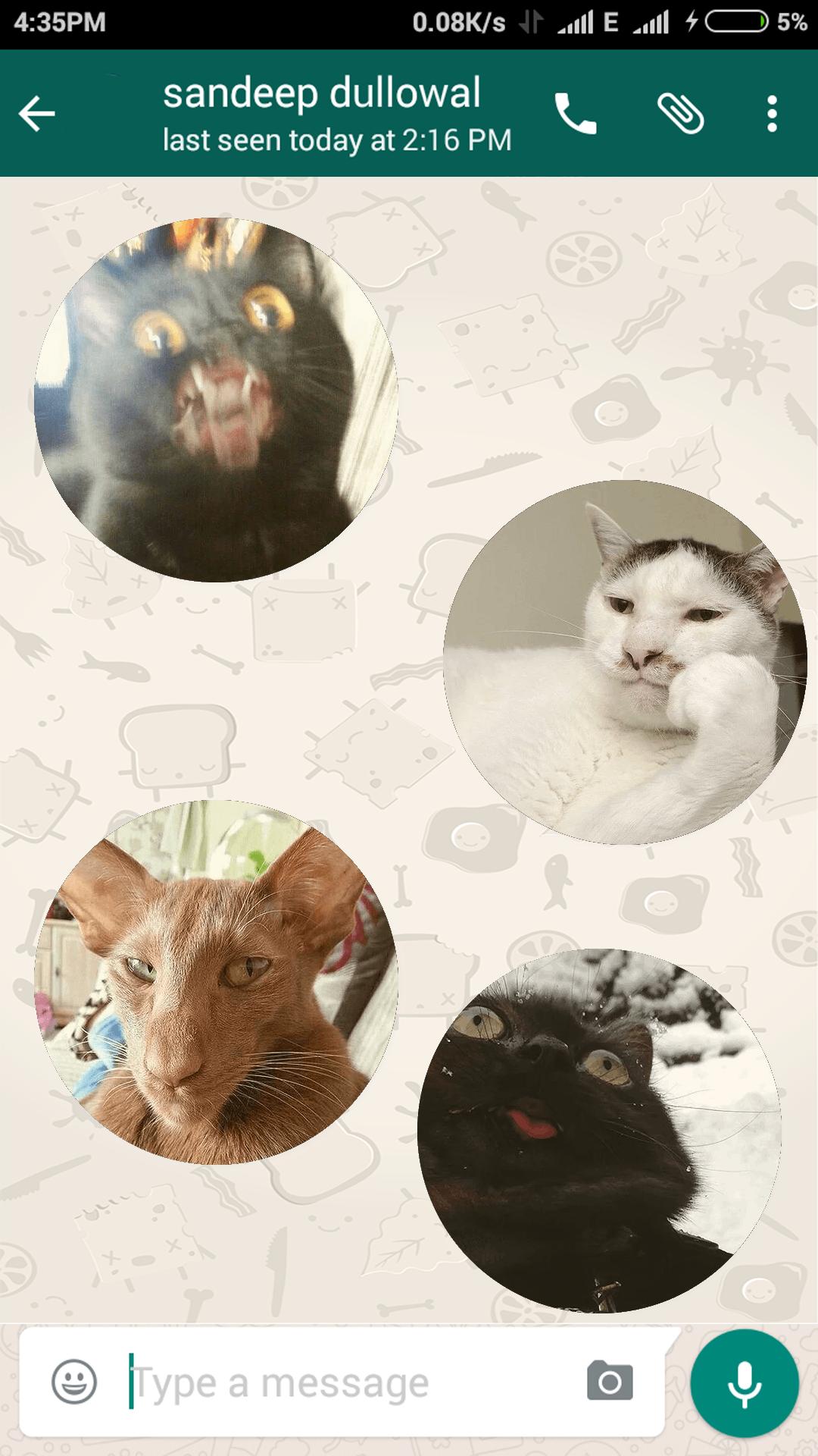 Stupid Cats Stickers For Whatsapp Wastickerapps For Android Apk