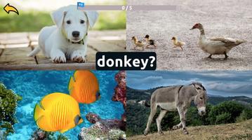 Learn Animals English Words screenshot 2