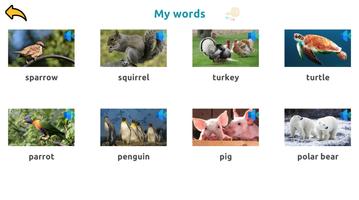 Learn Animals English Words capture d'écran 3