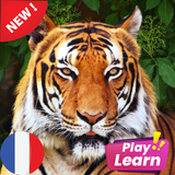 Learn Animals in French Zeichen