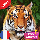 Learn Animals in French أيقونة