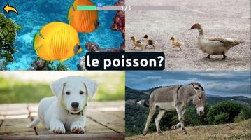 Learn Animals in French 截圖 2