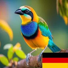 Learn Animals in German