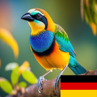 Learn Animals in German icône