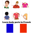أجزاء الجسم باللغة الفرنسية