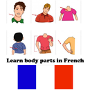 Körperteile auf Französisch APK