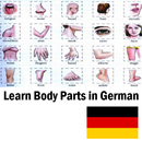 Partes del cuerpo en alemán APK