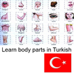 corps humain en turc