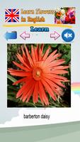 Learn Flower Names in English capture d'écran 1