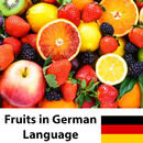 Learn Fruits in German APK