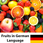 ikon Learn Fruits in German