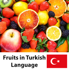 Learn Fruits in Turkish icône
