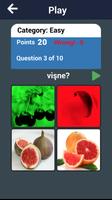 Learn Fruits in Turkish capture d'écran 1