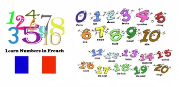 Learn Numbers in French Lang