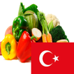 Learn Vegetables in Turkish
