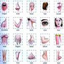 Learn Body Parts in English APK