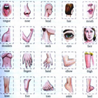 Learn Body Parts in English آئیکن