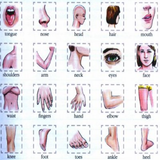 Body Parts Learn English Words
