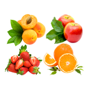 Learn Fruits Vegetables-APK