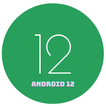 Android 12 Update