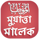 মুয়াত্তা মালেক - muwatta imam APK