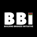 BBI Report