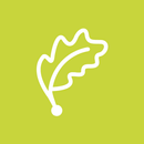 Muthmerah | مثمره APK