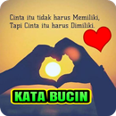 Kata Bucin - 999 Kata Bucin APK