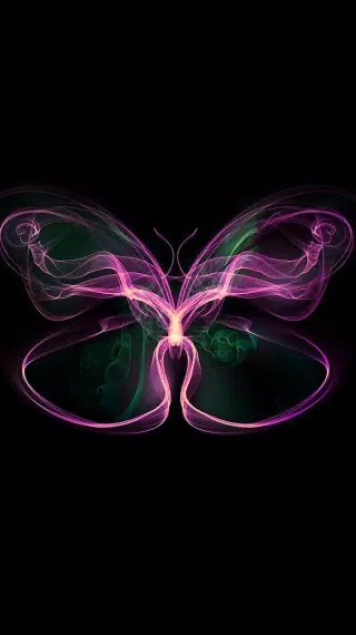 Everything Butterfly Wallpaper APK for Android Download Everything Butterfly Wallpaper APK for Android Download