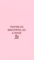 All Pink Everything Wallpaper Cartaz