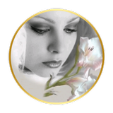 Mi blog Mujer أيقونة