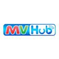 MVHub internal Test