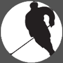 APK Premium NHL for Wear