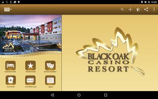 Black Oak Casino ภาพหน้าจอ 3