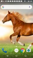 Horse Live Wallpaper bài đăng