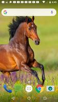 Horse Live Wallpaper ảnh chụp màn hình 2