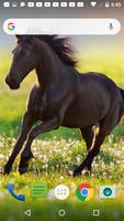 Horse Live Wallpaper ảnh chụp màn hình 3