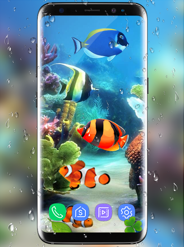無料で 水族館 魚 ライブ壁紙 19 コイ 魚 無料 アプリの最新版 Apk1 3をダウンロードー Android用 水族館 魚 ライブ壁紙 19 コイ 魚 無料 Apk の最新バージョンをダウンロード Apkfab Com Jp