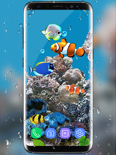 無料で 水族館 魚 ライブ壁紙 19 コイ 魚 無料 アプリの最新版 Apk1 3をダウンロードー Android用 水族館 魚 ライブ壁紙 19 コイ 魚 無料 Apk の最新バージョンをダウンロード Apkfab Com Jp